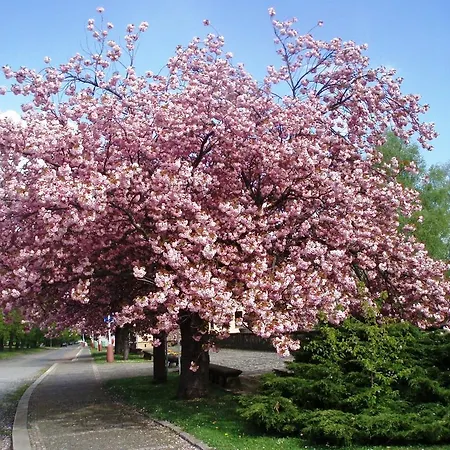 아파트 Modern Riegrovy Sady