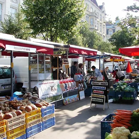 Modern Riegrovy Sady Διαμέρισμα