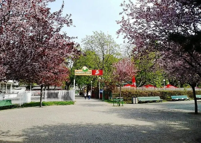Modern Riegrovy Sady *